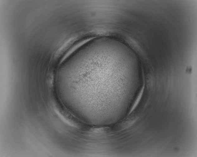 X0000111040072200907091620