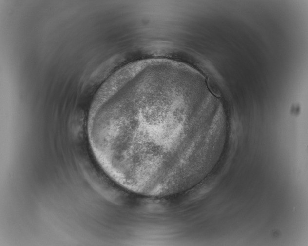 X0000111040073200907091620