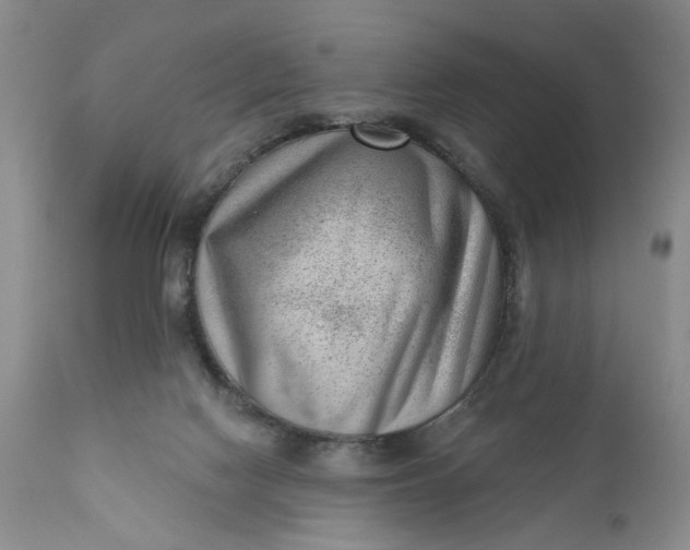 X0000111040074200907091620