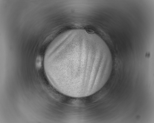 X0000111040075200907091620