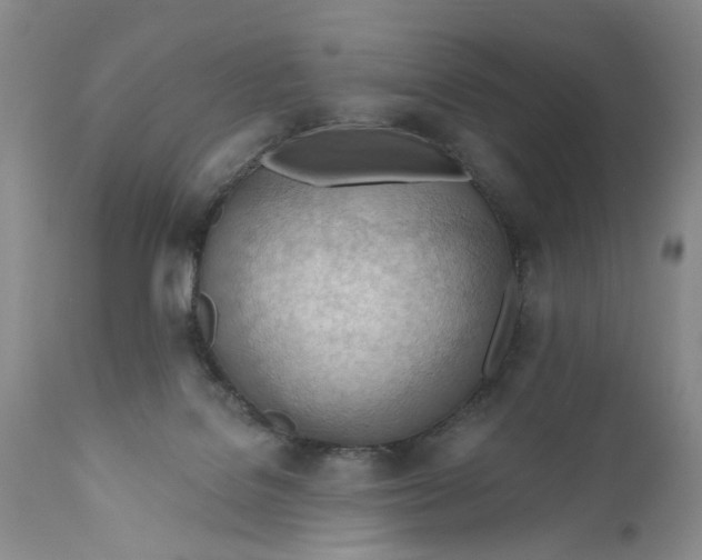 X0000111040076200907091620