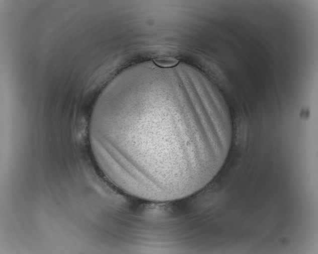 X0000111040077200907091620