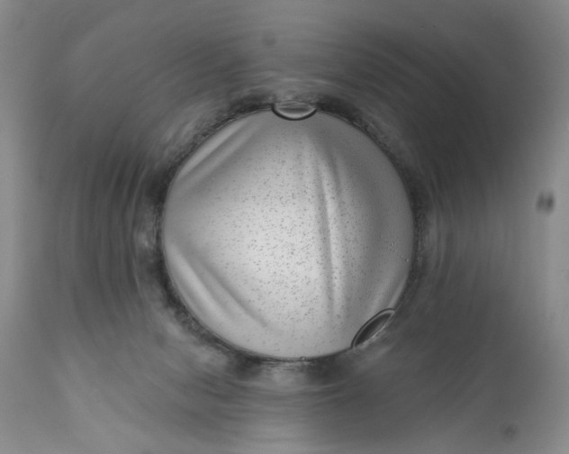 X0000111040078200907091620