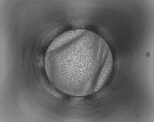 X0000111040081200907091620