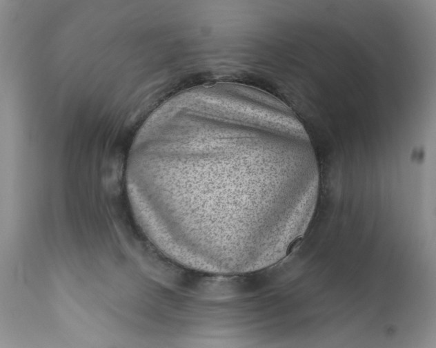 X0000111040082200907091620