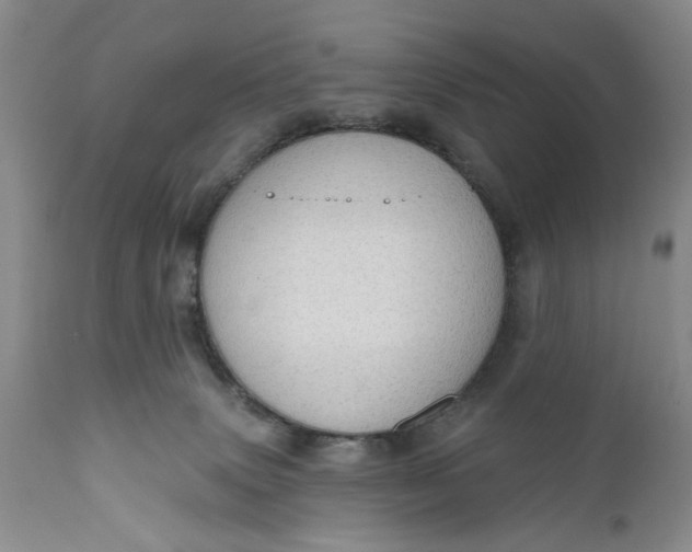 X0000111040083200907091620