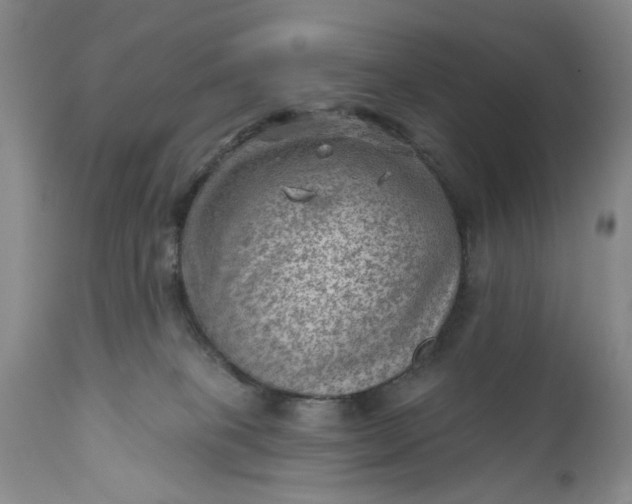 X0000111040085200907091620