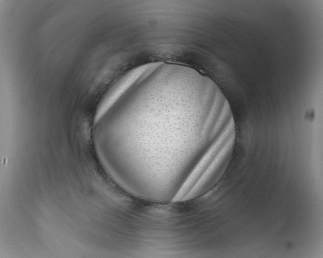 X0000111040086200907091620