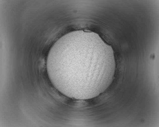 X0000111040087200907091620