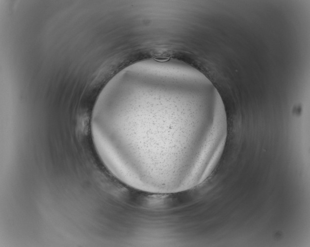 X0000111040090200907091620