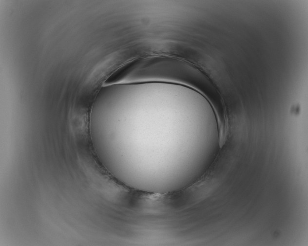 X0000111040092200907091620