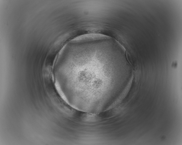 X0000111040093200907091620