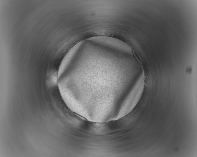 X0000111040095200907091620