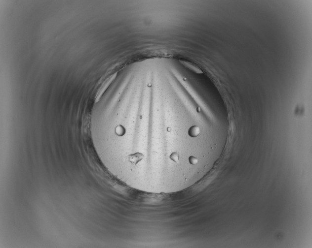 X0000111040096200907091620