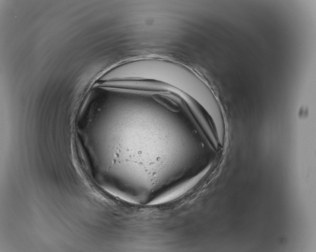 X0000111040097200907091619