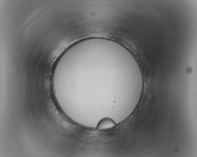 X0000111040098200907091619