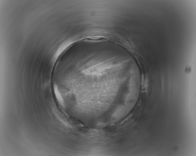 X0000111040099200907091619