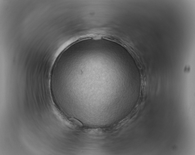 X0000111040100200907091619