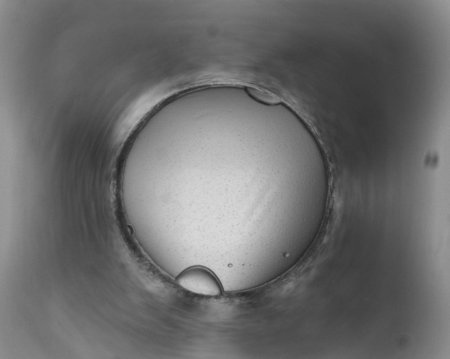 X0000111040103200907091619