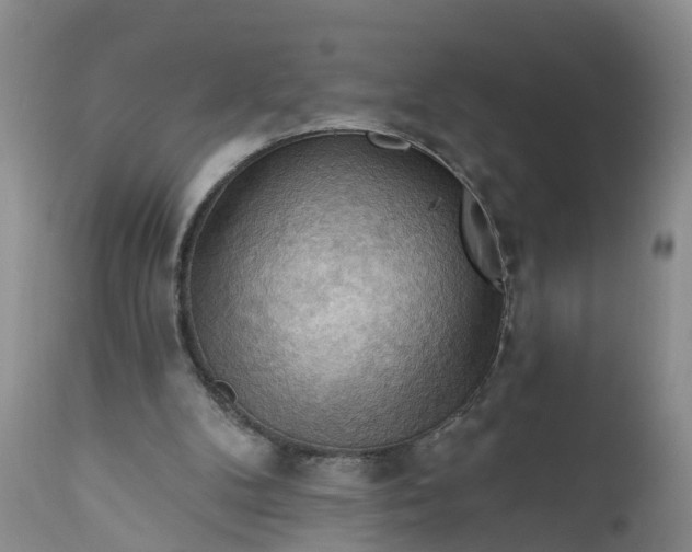 X0000111040104200907091619