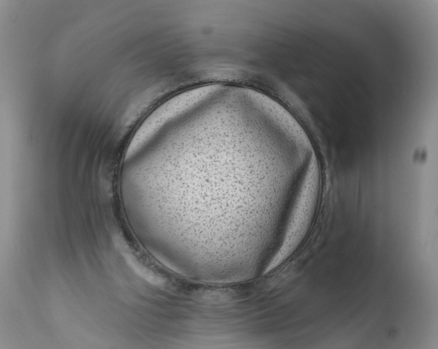 X0000111040106200907091619