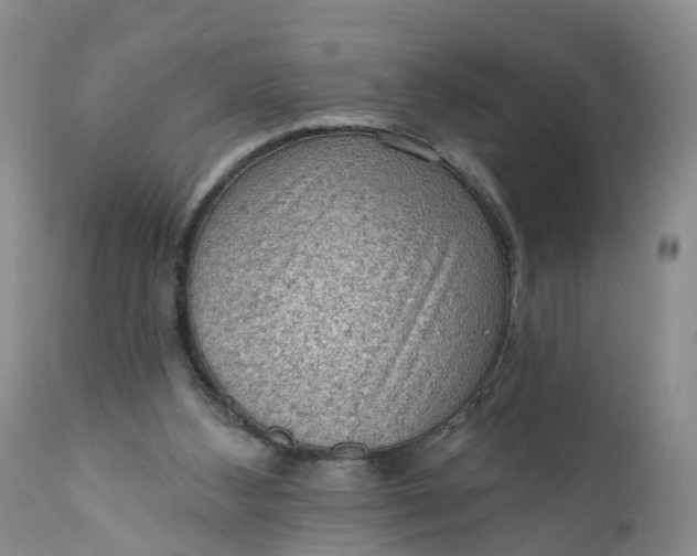 X0000111040108200907091619