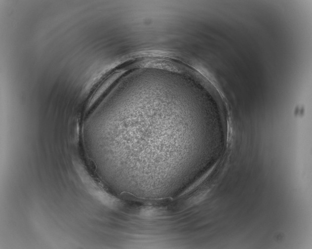 X0000111040109200907091619