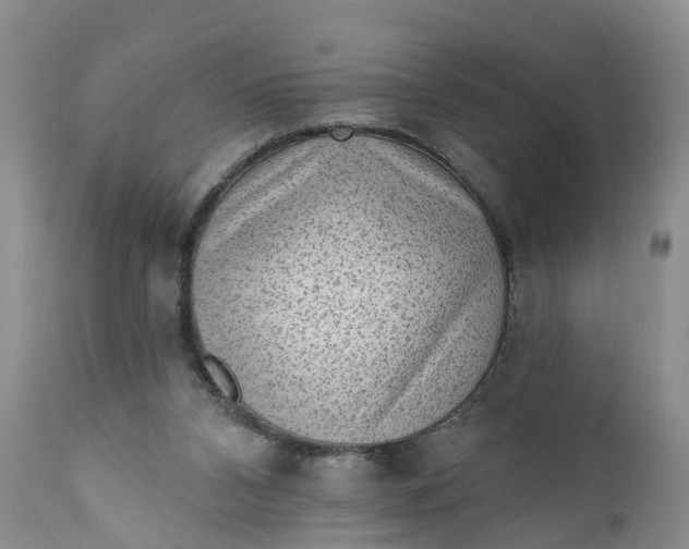 X0000111040112200907091619