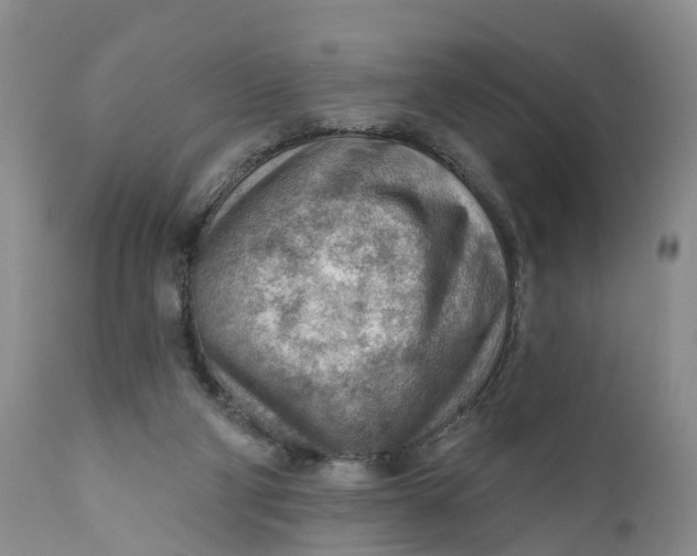 X0000111040114200907091619