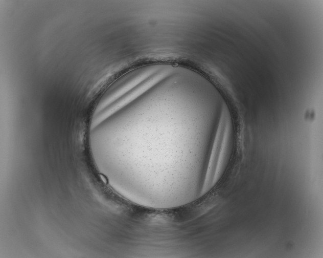 X0000111040115200907091619