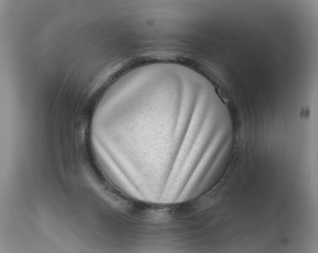 X0000111040120200907091619