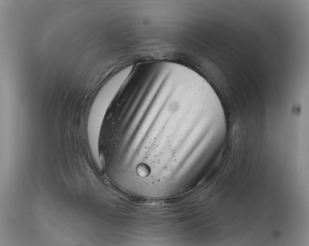 X0000111040121200907091619