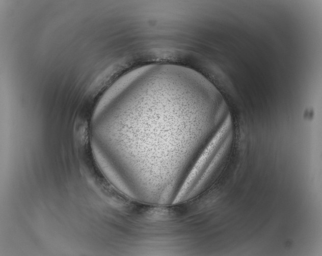 X0000111040123200907091618