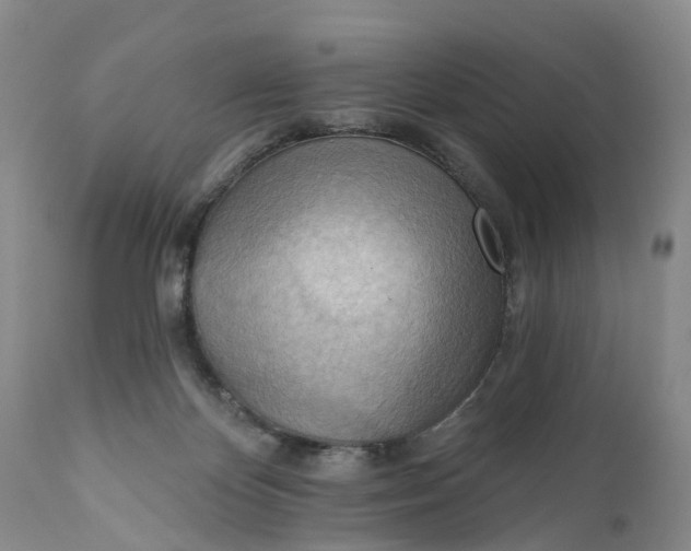 X0000111040124200907091618