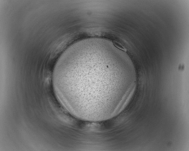 X0000111040125200907091618