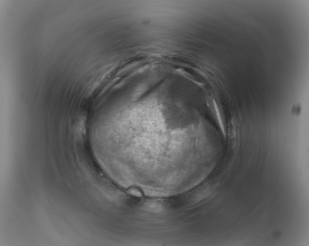 X0000111040127200907091618