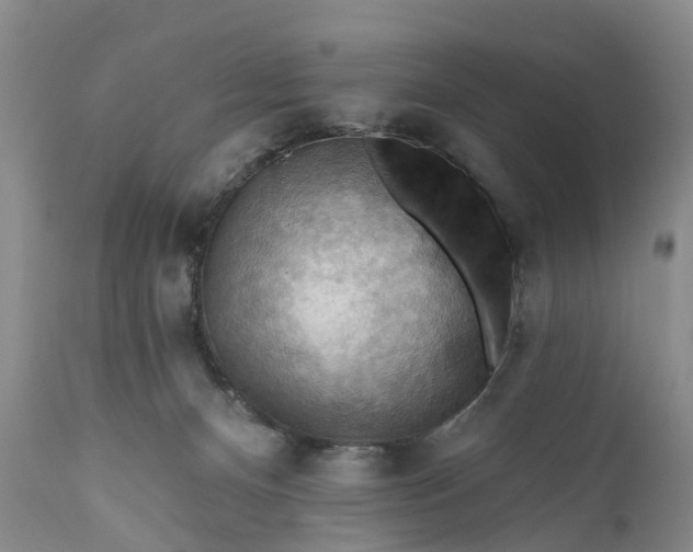 X0000111040128200907091618