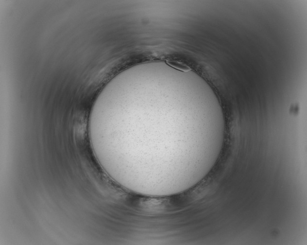 X0000111040129200907091618