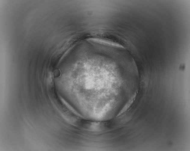 X0000111040130200907091618