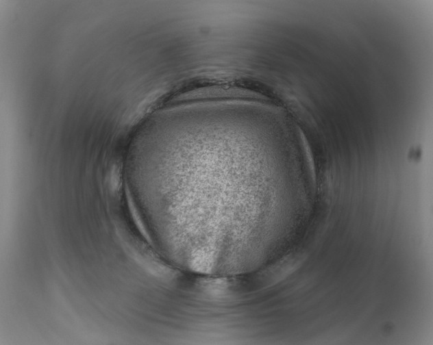 X0000111040131200907091618