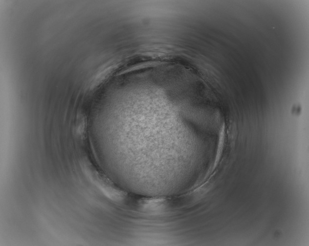 X0000111040132200907091618