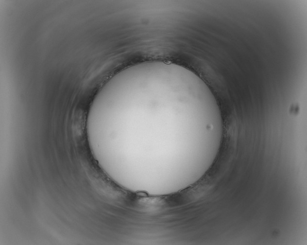 X0000111040133200907091618