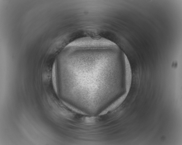 X0000111040134200907091618