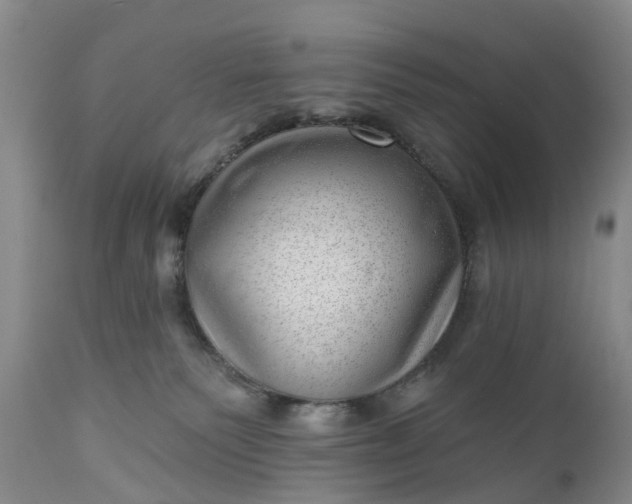 X0000111040135200907091618