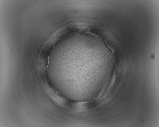 X0000111040136200907091618