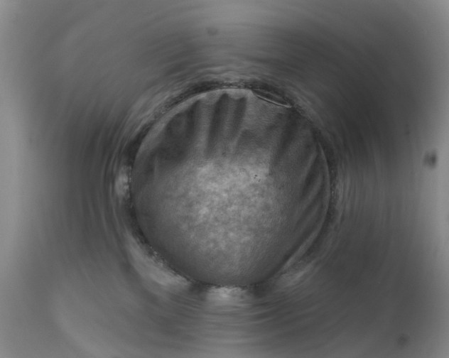 X0000111040137200907091618