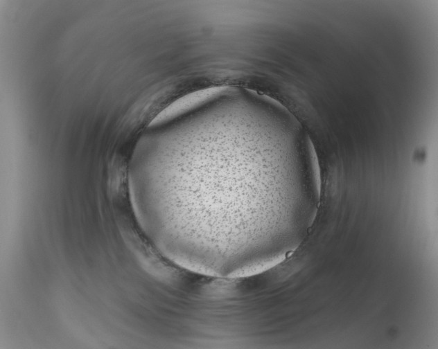 X0000111040138200907091618