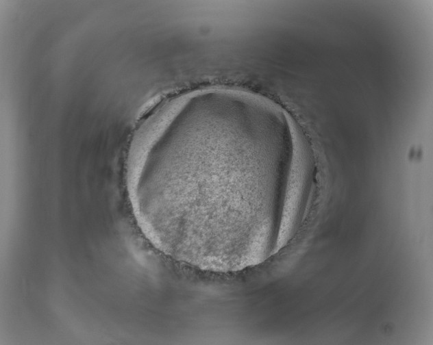 X0000111040144200907091618