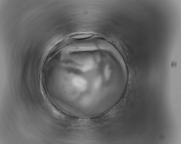 X0000111040145200907091617