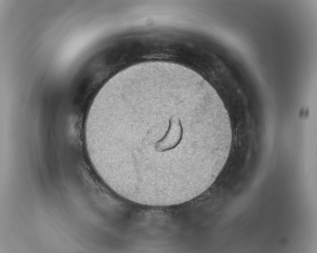 X0000111040146200907091617